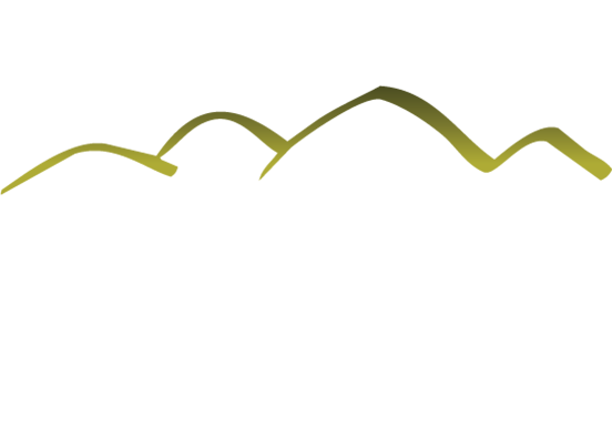 Logo Partner