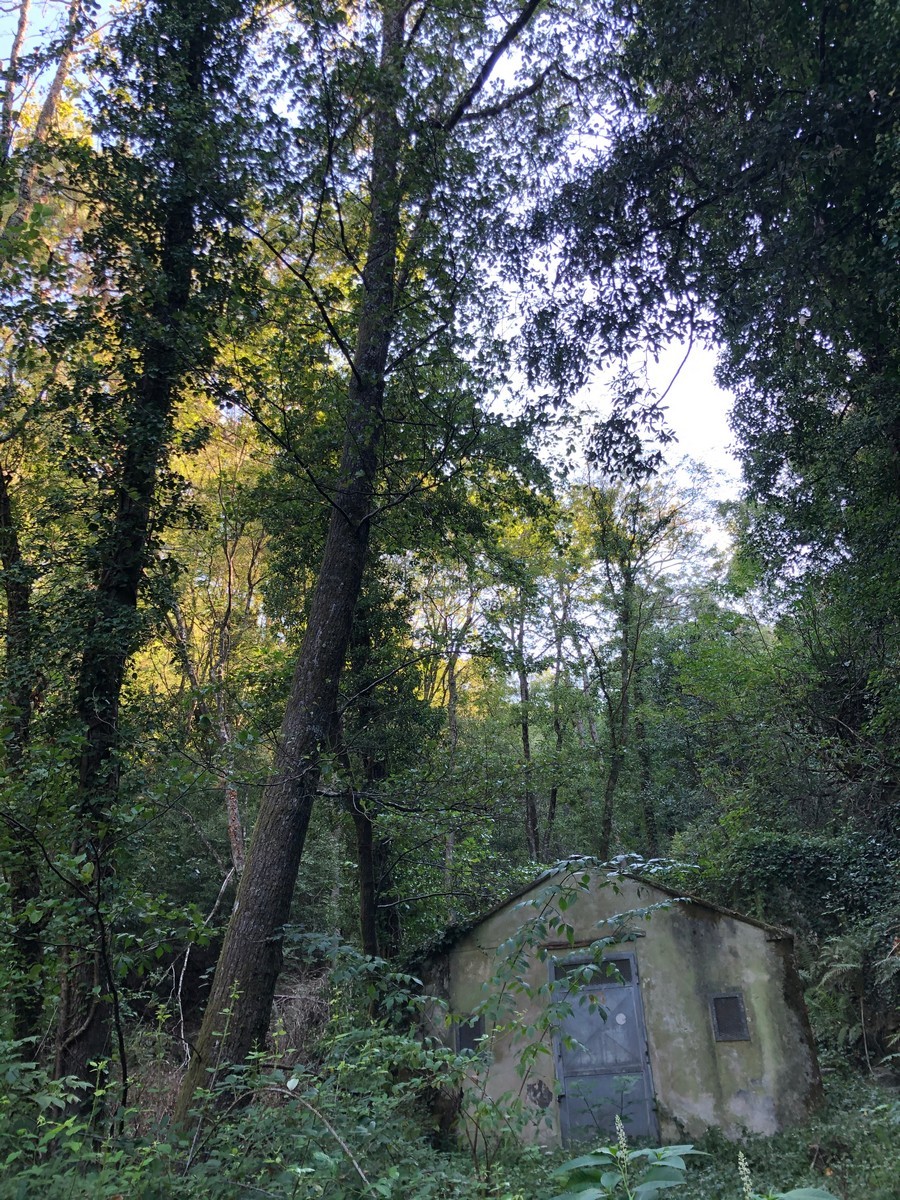 704-01-1