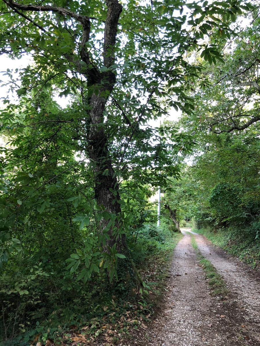 818-01